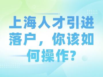 上海人才引进落户，你该如何操作？